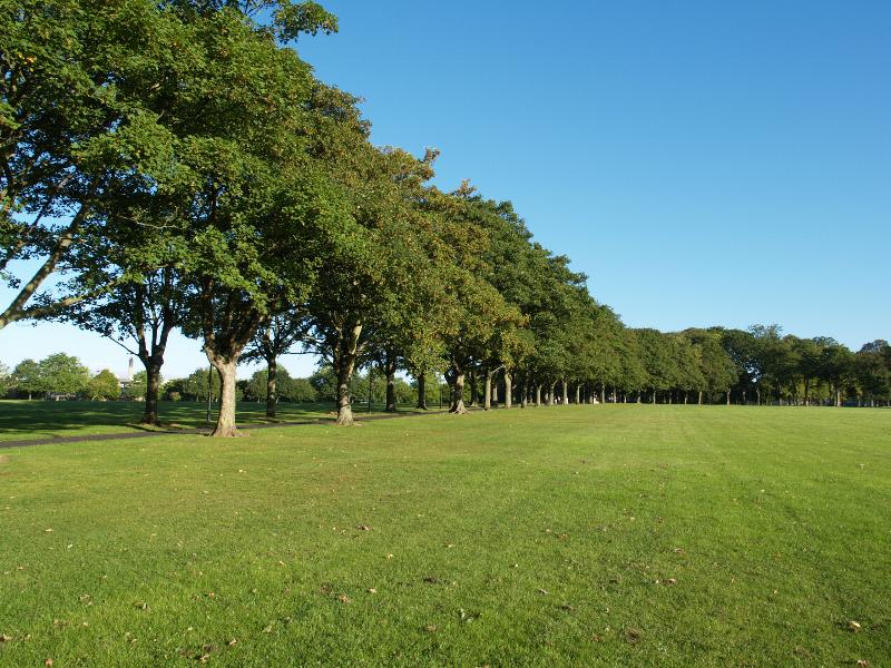 Leicester, England: Victoria Park: view of trees forming walkway
