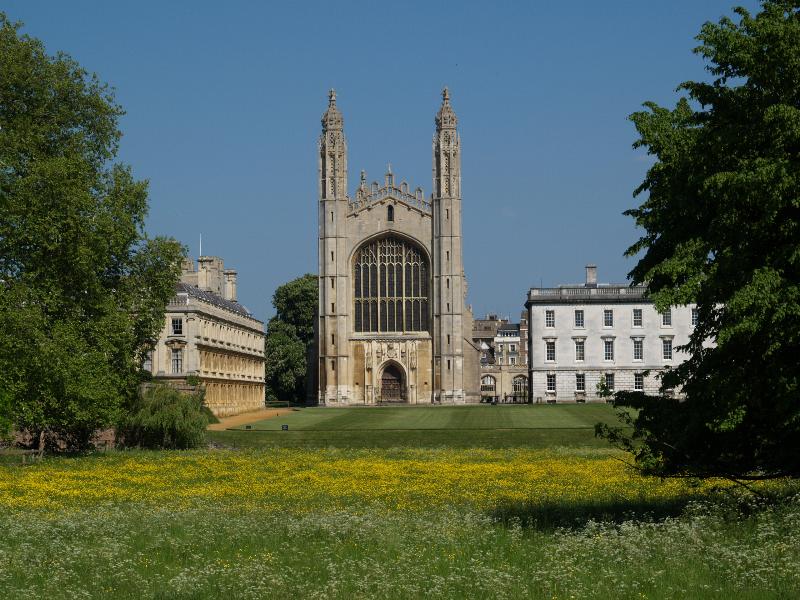 Cambridge, England: King's College: chapel with buttercups and cow parsley (Queen Anne's Lace)