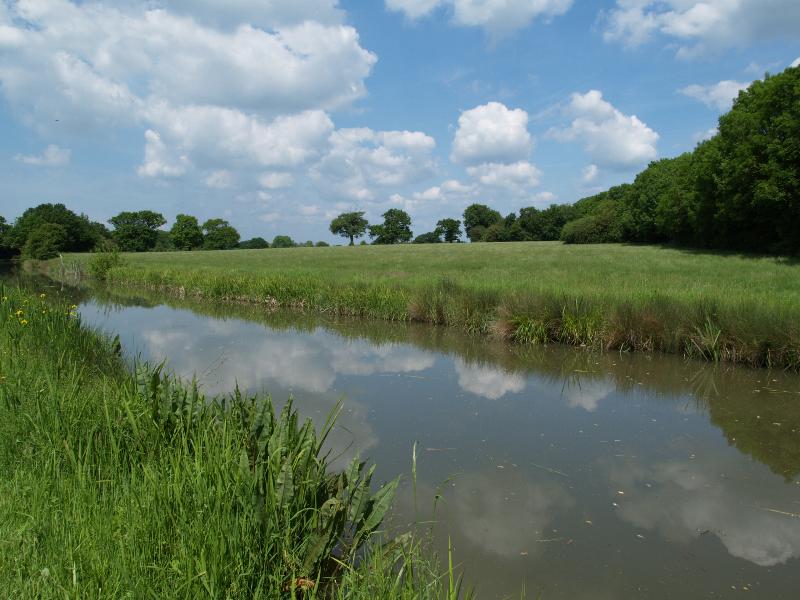 Shenton, England: Ashby de la Zouch Canal: field and trees