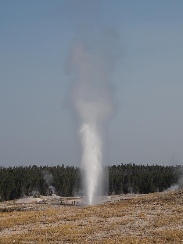 Yellowstone National Park, Wyoming (WY): Upper Geyser Basin: Beehive Geyser spouting