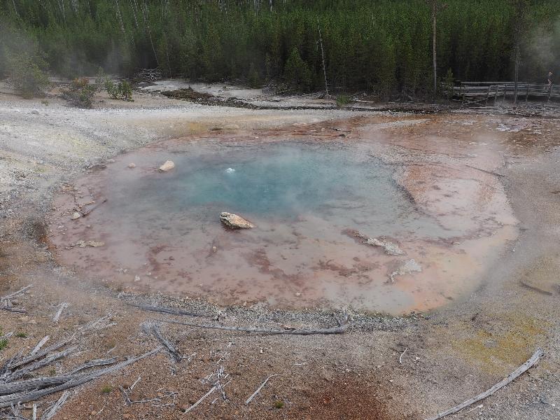 Yellowstone National Park, Wyoming (WY): Norris Geyser Basin: Echinus Geyser (not spouting)