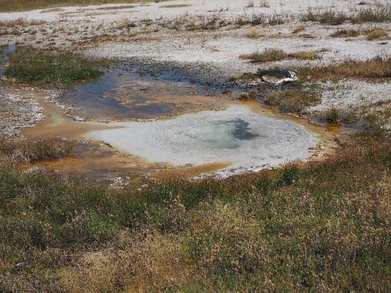 Yellowstone National Park, Wyoming (WY): Black Sand Basin: White Sand Spring
