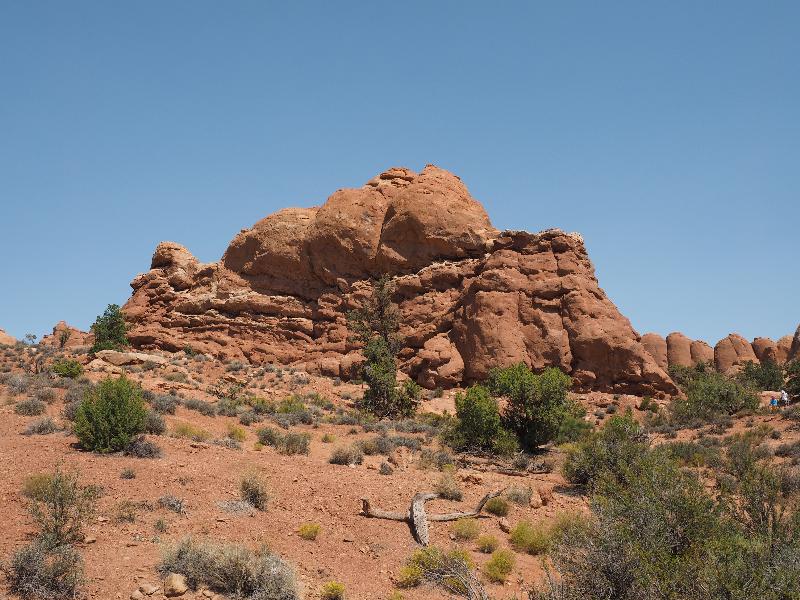 Arches National Park, Utah (UT): Skyline Arch Trail: rocks at start of trail