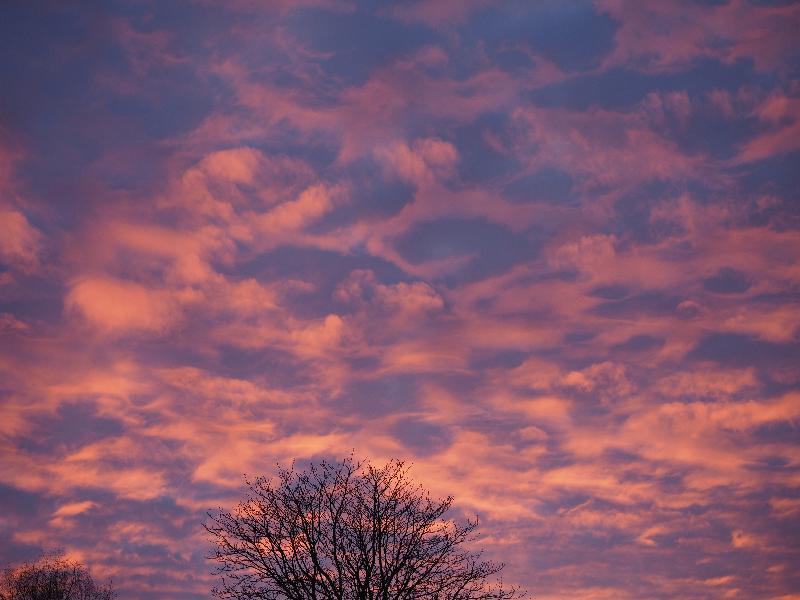 Cambridge, England: Roseford Road: sunset