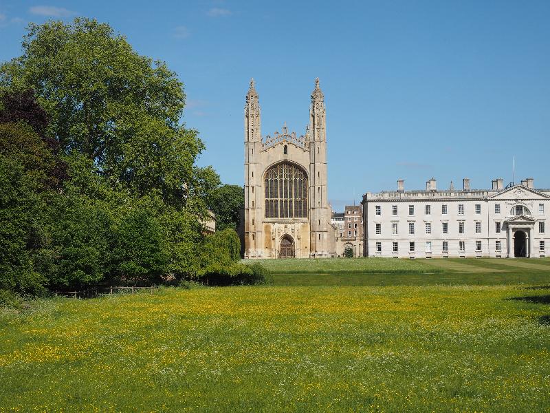 Cambridge, England: King's College: chapel, with buttercups (quiet because of Covid-19 lockdown)