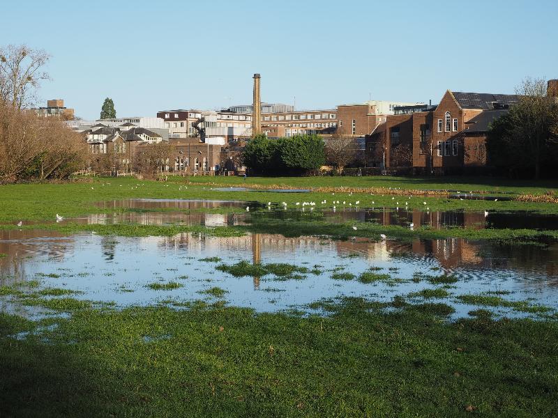 Cambridge, England: Coe Fen: slightly flooded field (looking towards Department of Engineering and Leys School)