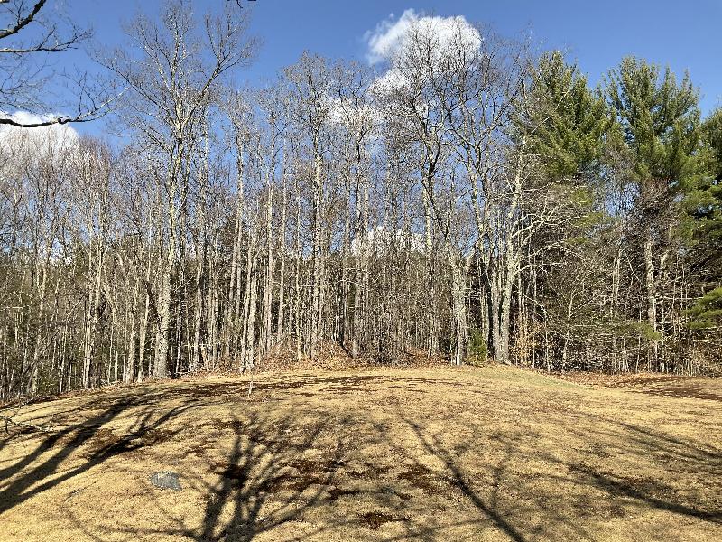 Plainfield, Massachusetts (MA): South Union Street: field with trees