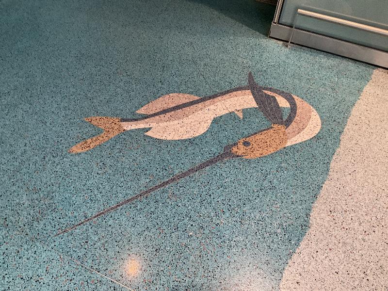 Boston, Massachusetts (MA): Logan Airport, Terminal E: swordfish design in floor