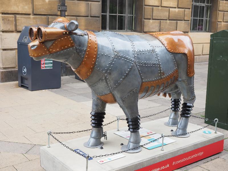Cambridge, England: Peas Hill: MooMoo-o-Tron III (Dinky Doors)