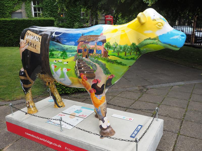 Cambridge, England: Judge Business School: Animal Farm (Emma Graham)