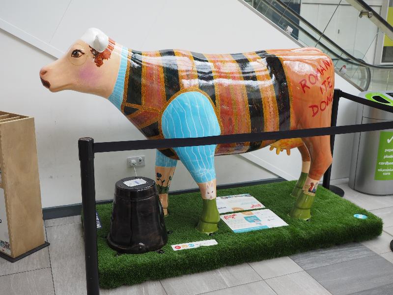 Cambridge, England: The Grafton: Now for Something Udderly Different (Anne-Marie Byrne)