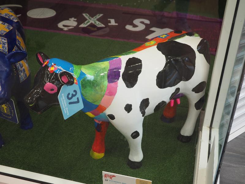 Cambridge, England: The Grafton: Psychedelic Moo (Break Charity - Stay Connected Team)