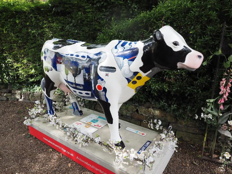 Cambridge, England: Gonville Hotel: Mooto Cow (David Mitchell)