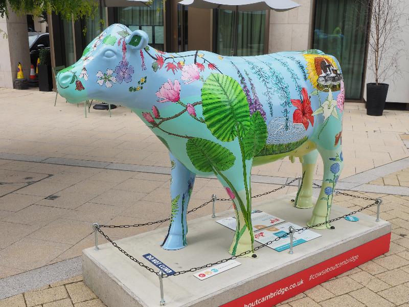 Cambridge, England: Clayton Hotel: The Botanicow (Heloise Toop)
