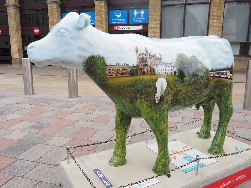 Cambridge, England: Railway Station: The Bovine Line (Phil Daniels)