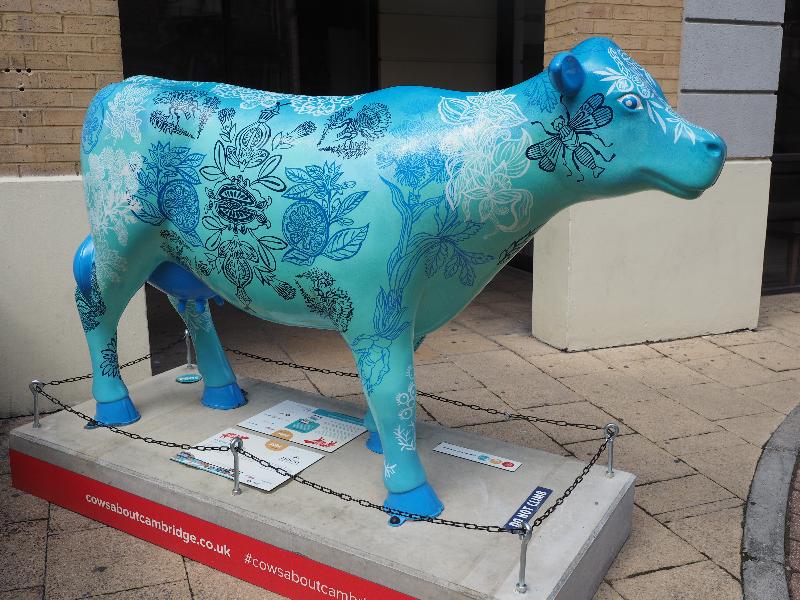 Cambridge, England: Hilton Hotel: MOOORE Gin Please (Laura-Kate Chapman)