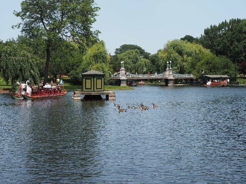 Boston, Massachusetts (MA): Boston Common: swan boats