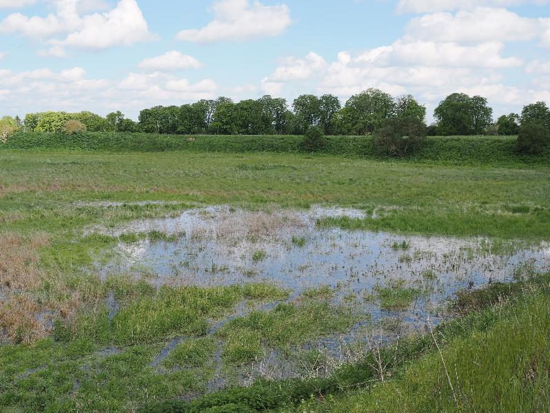Cambridge, England: Eddington: wet sunken paddock (supposed to be a recreation ground some day)