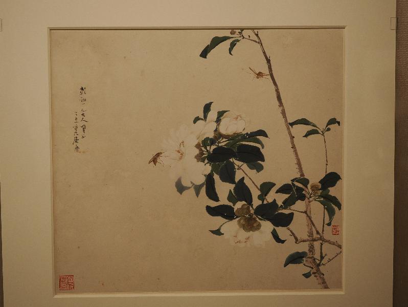 London, England: British Museum: Number one of eight leaves of insects and flowers (ca. 1848-1904, artist Ju Lian, Guangzhou)