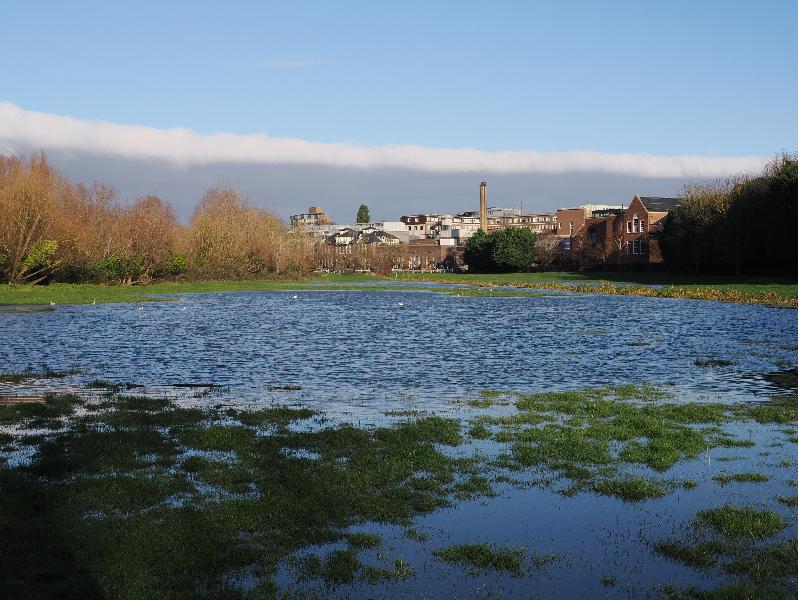 Cambridge, England: Coe Fen: view of pond that has formed
