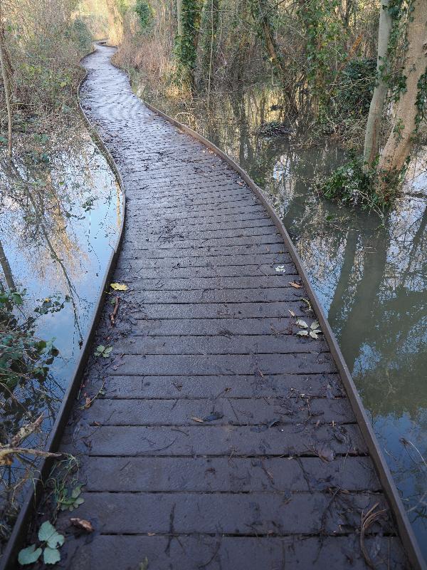Cambridge, England: Paradise Local Nature Reserve: path with water on both sides