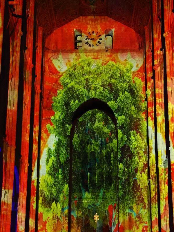 Ely, England: Ely Cathedral: forest (Crown and Coronation, by Luxmuralis, originally shown at Tower of London, Nov 2023)