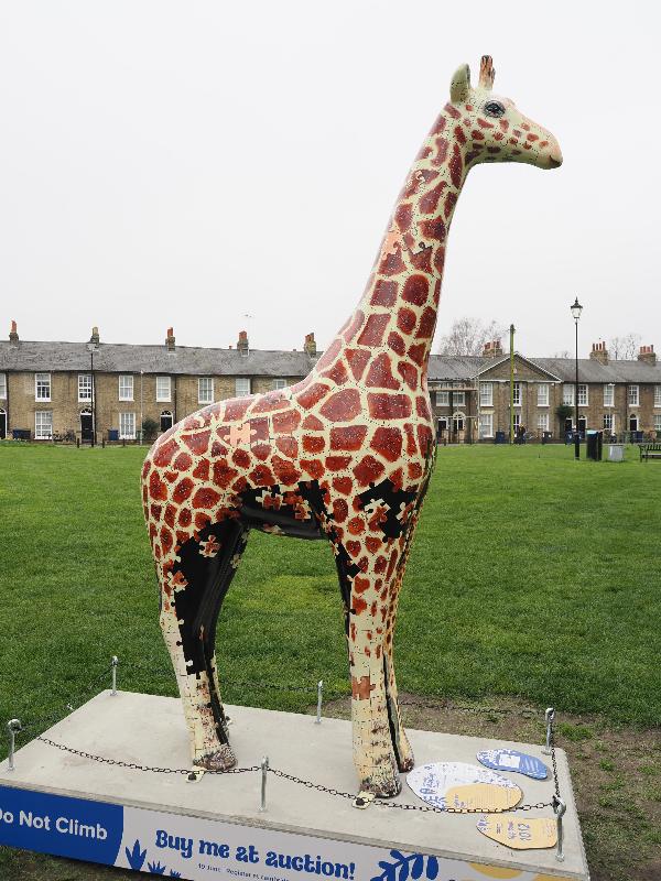 Cambridge, England: New Square Park: Jiggles and Iggles (Rachel Butler)