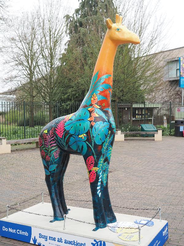 Cambridge, England: Hills Road: Jungle Giraffe (Jill Busby)