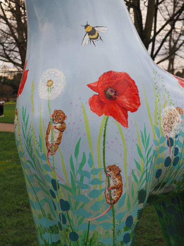 Cambridge, England: Christ's Pieces: Poppy, detail (Gina Gelder)
