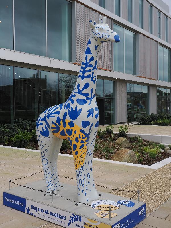 Cambridge, England: West Hub: Hubert the Giraffe (Mik Richardson and 10 Creative)