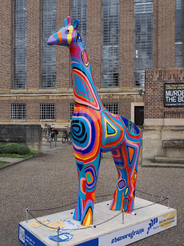 Cambridge, England: university library: Umnyama (Lisa Todd)