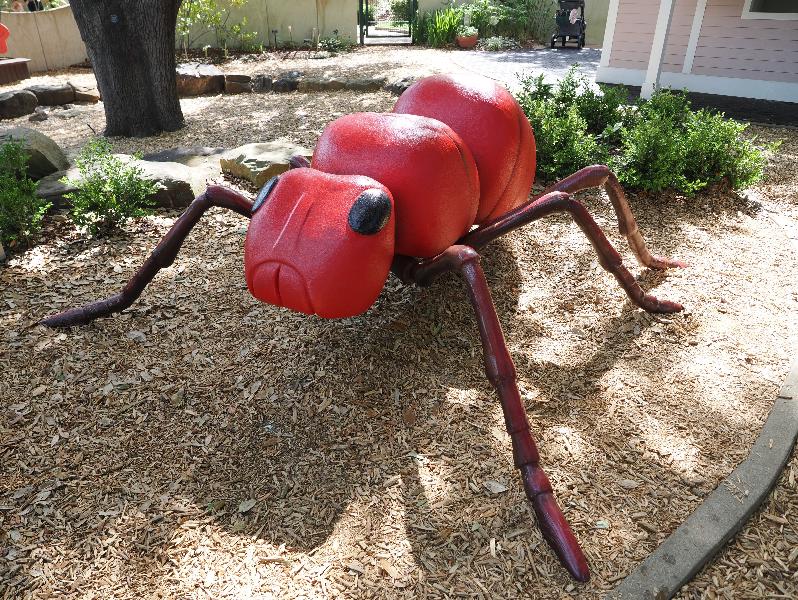 Dallas, Texas (TX): Dallas Arboretum & Botanical Gardens: giant ant sculpture