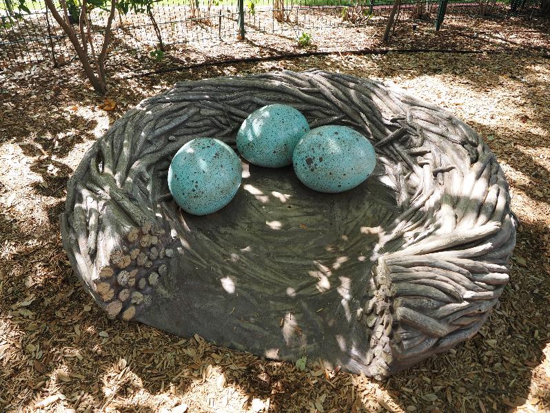 Dallas, Texas (TX): Dallas Arboretum & Botanical Gardens: giant bird eggs sculpture