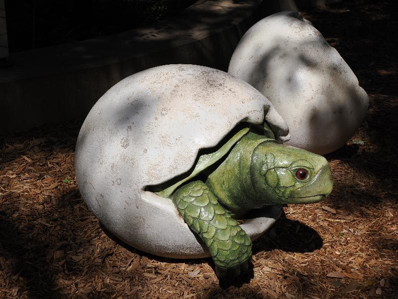 Dallas, Texas (TX): Dallas Arboretum & Botanical Gardens: giant turtle leaving egg