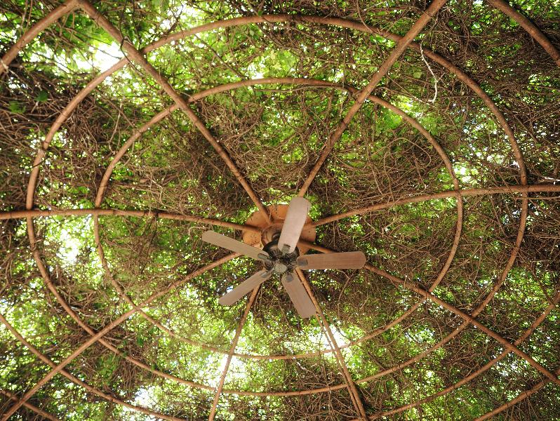Dallas, Texas (TX): Dallas Arboretum & Botanical Gardens: pergola vine shade cover