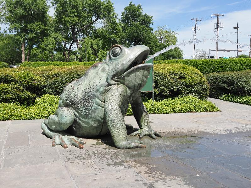 Dallas, Texas (TX): Dallas Arboretum & Botanical Gardens: frog fountain