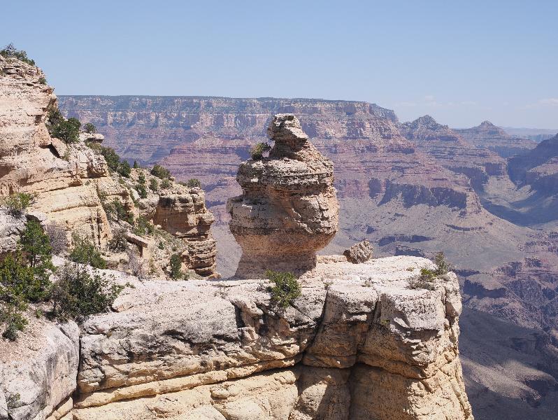 Grand Canyon, Arizona (AZ): Duck on a Rock: view of the rock