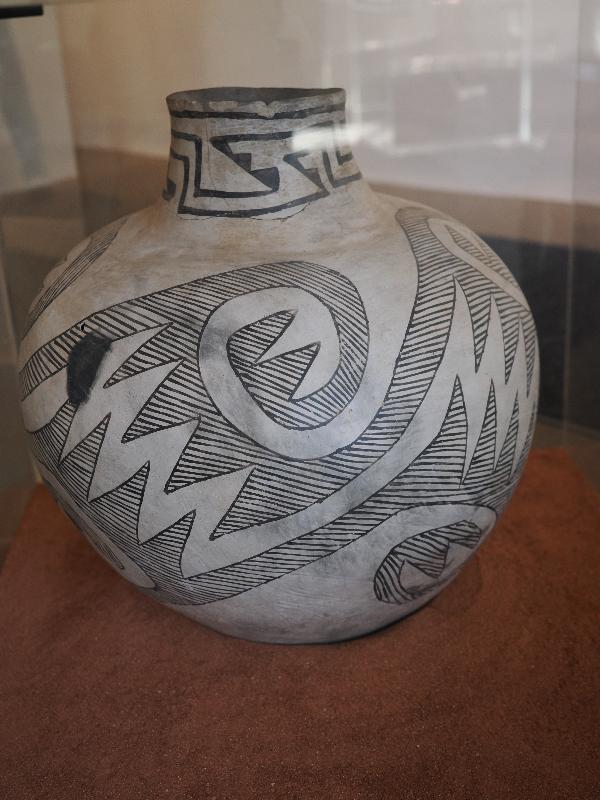 Flagstaff, Arizona (AZ): Museum of Northern Arizona: Dogoszhi (body) and Sosi (neck) black-on-white jar