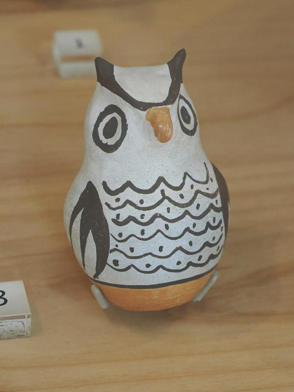Flagstaff, Arizona (AZ): Museum of Northern Arizona: Kuukuupa (owl) (Frances Torivio, Acoma)