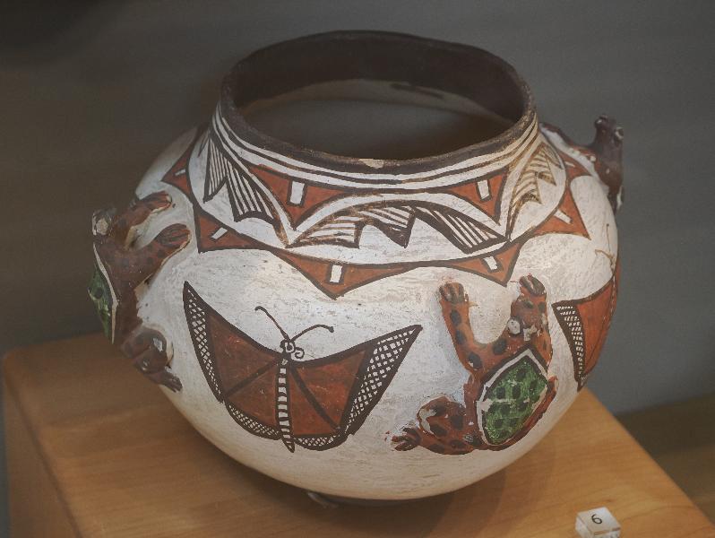 Flagstaff, Arizona (AZ): Museum of Northern Arizona: K'yabokya de'le (water jar), butterfly and frog design (early 20th century)