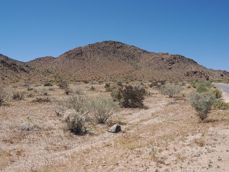 Joshua Tree National Park, California (CA): Pinto Basin Road: view west