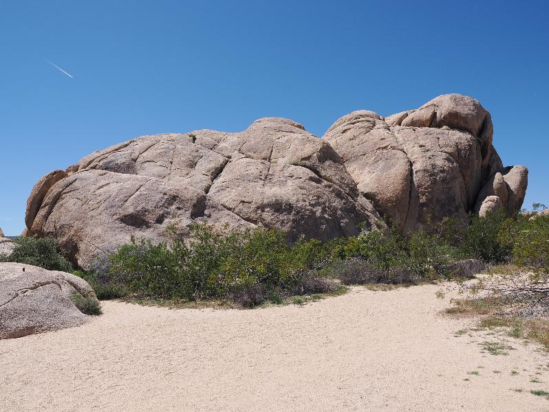 Joshua Tree National Park, California (CA): Pinto Basin Road at Stirrup Tank Road: large boulder