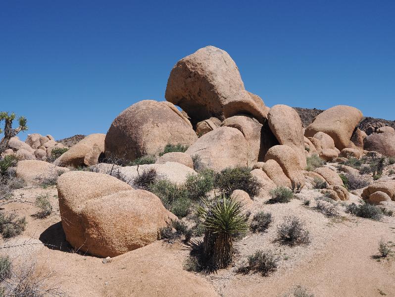 Joshua Tree National Park, California (CA): Arch Rock Nature Trail: large boulders