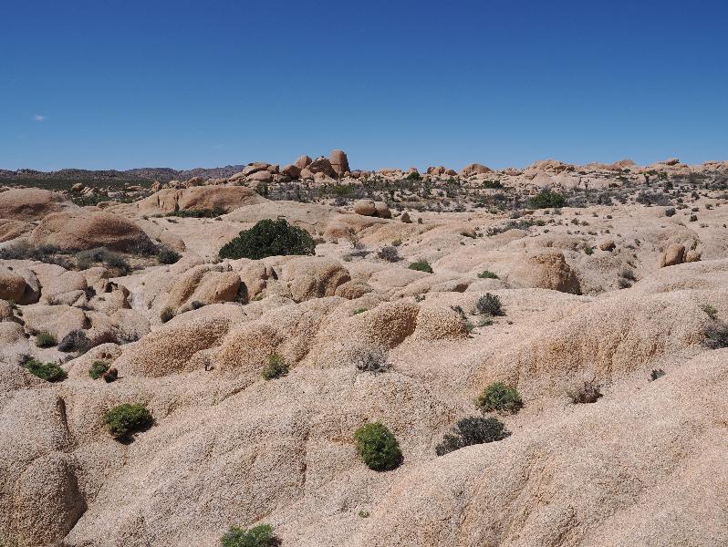 Joshua Tree National Park, California (CA): Arch Rock Nature Trail: rocky landscape