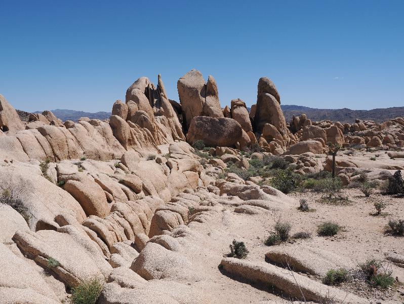 Joshua Tree National Park, California (CA): Arch Rock Nature Trail: rocky landscape