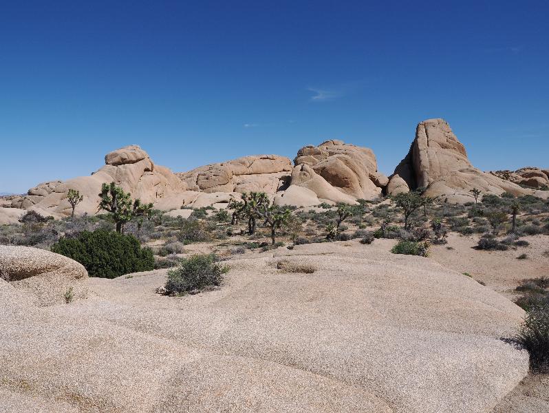 Joshua Tree National Park, California (CA): Jumbo Rocks: view