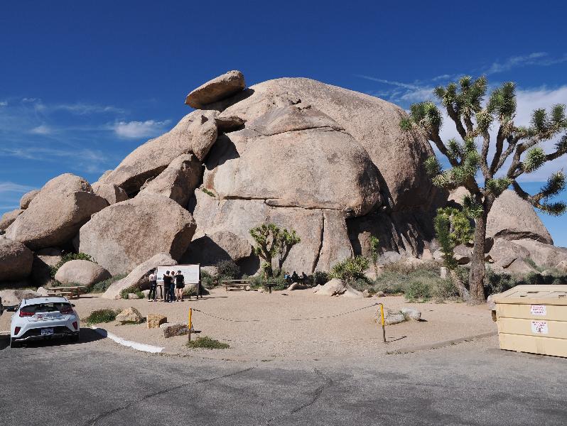 Joshua Tree National Park, California (CA): Cap Rock: view