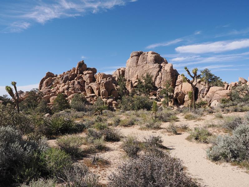 Joshua Tree National Park, California (CA): Hidden Valley Trail: view