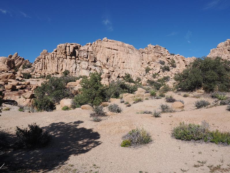 Joshua Tree National Park, California (CA): Hidden Valley Trail: view