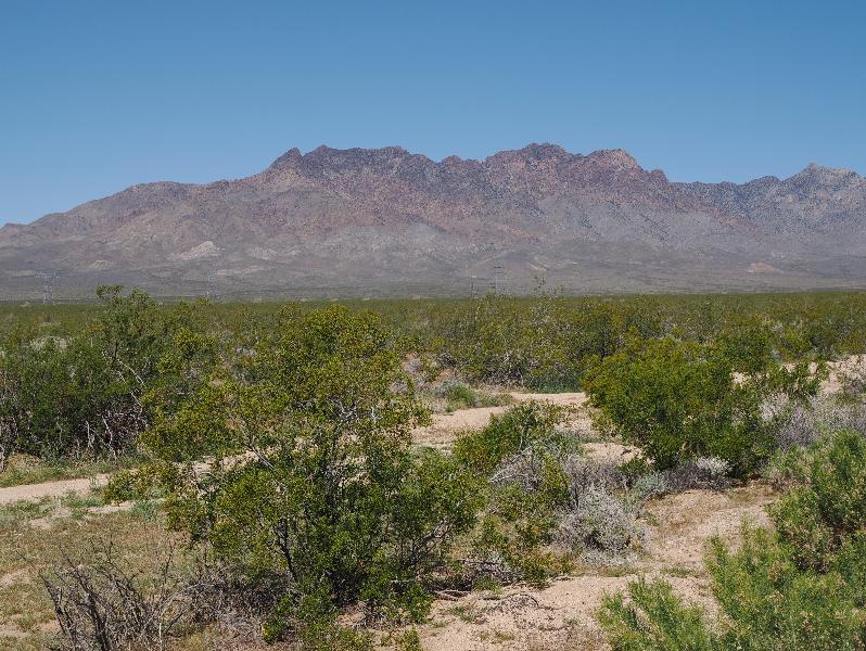 Mojave National Preserve, California (CA): Black Canyon Road at Essex Road: view west (towards Edgar Peak)